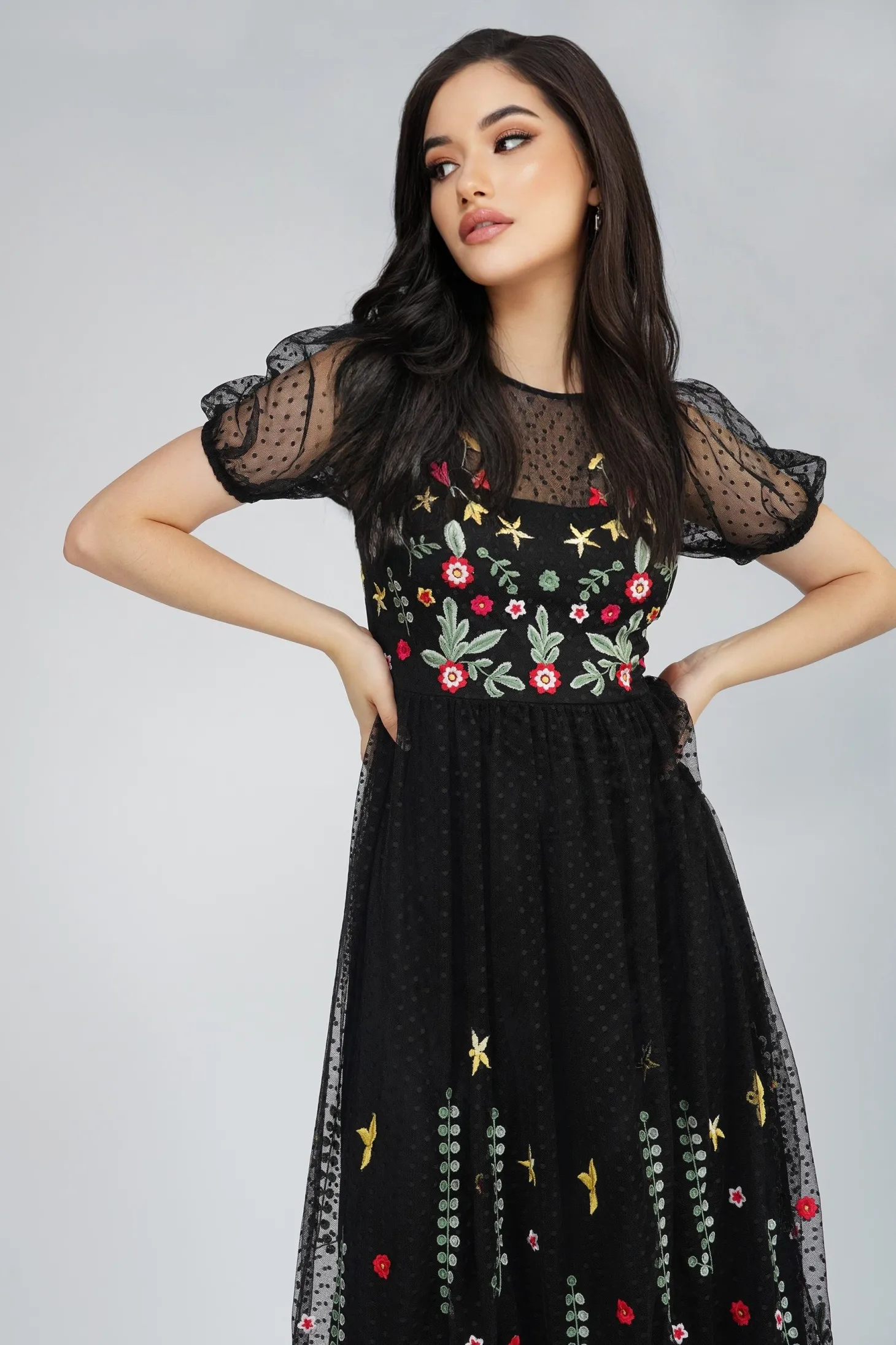 Dahlia Black Embroidered Dress