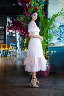 Jayne Nude Tulle Midi Dress