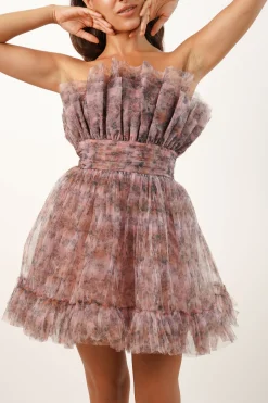 Nanita Tulle Mini Dress In Floral Print