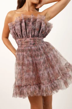 Nanita Tulle Mini Dress In Floral Print