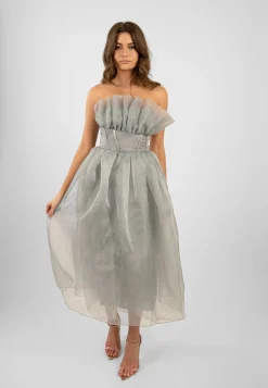 Noah Organza Midi Dress In Grey