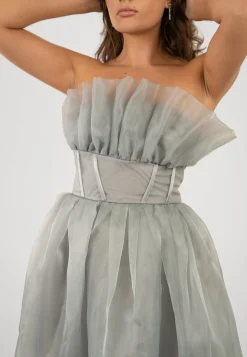 Noah Organza Midi Dress In Grey