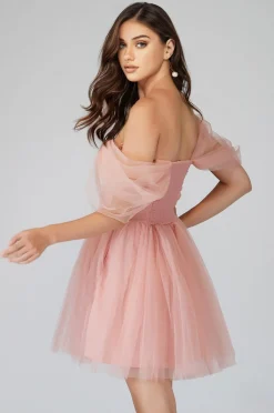 Sydney Light Pink Tulle Mini Dress