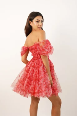 Sydney Red Printed Tulle Mini Dress